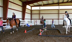horses