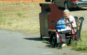 no bus shelter