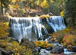 mccloud-3
