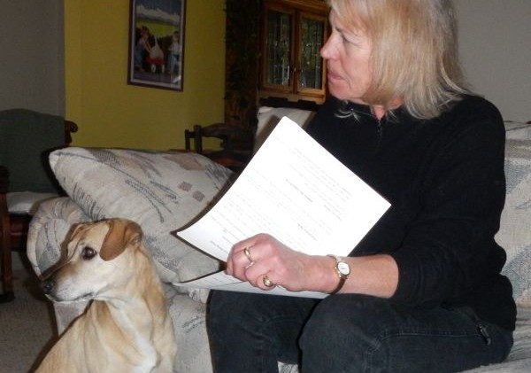 South Shore behavioral therapist helps resolve issues with 4-legged family members