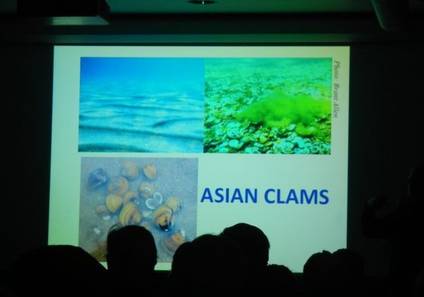 Scientists worry about long-term effects of changing levels of algae, oxygen in Lake Tahoe