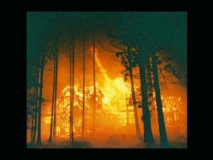 angora fire