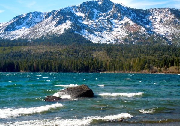 Musical chairs on Fallen Leaf Lake board