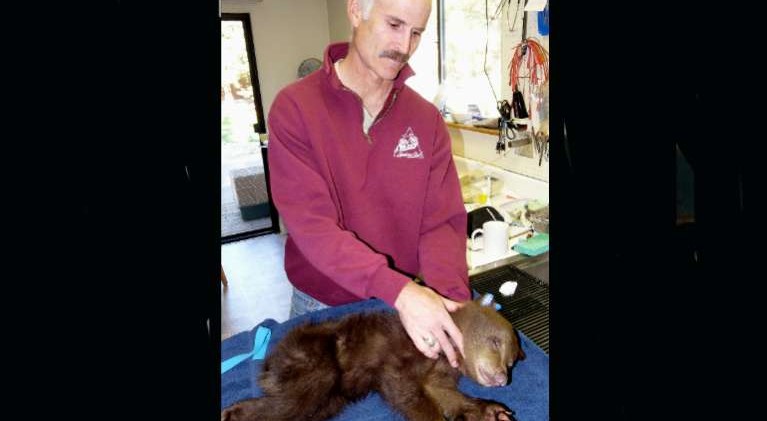 LTWC returns cubs to the wild