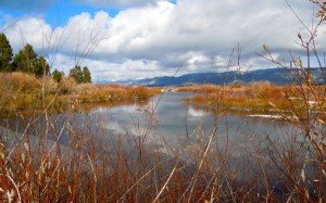 upper truckee river