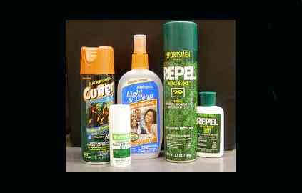 Mosquitoes learning to bite through Deet