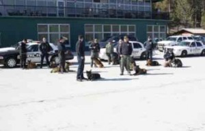 K9 officers spend three days training in South Lake Tahoe. Photos/Matt Morrison