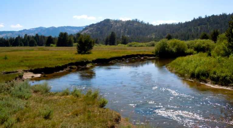 Forest managers told to protect rivers