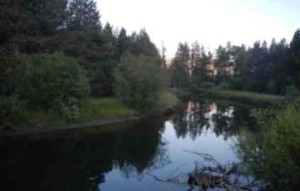 The Upper Truckee River near Cove East is part of the California Tahoe Conservancy project. Public meeting: March 28, 6-8:30pm Lake Tahoe Community College, boardroom No presentation will be given, but questions will be answered. More info: Scott Carroll Scott.carroll@tahoe.ca.gov (530) 543.6062 Vitals: CEQA-TRPA comments due April 8 NEPA comments due April 26 Public meeting: March 28, 6-8:30pm Lake Tahoe Community College, boardroom No presentation will be given, but questions will be answered. More info: Scott Carroll Scott.carroll@tahoe.ca.gov (530) 543.6062 Vitals: CEQA-TRPA comments due April 8 NEPA comments due April 26Photo/LTN file
