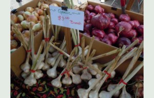 Farmers' market season about to begin in Lake Tahoe. Photo/LTN file
