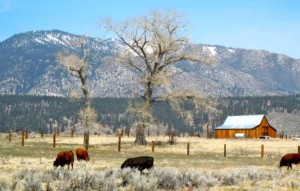 Nevada tourism officials try to balance rural places like Genoa with the urban appeal of Las Vegas. Photo/LTN file