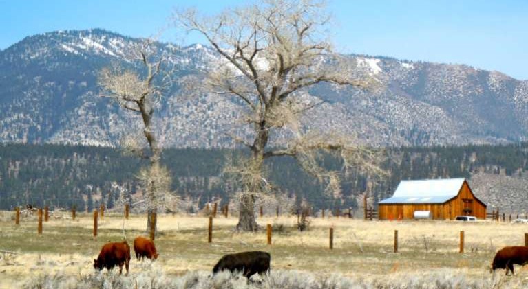 Nevada unveils latest tourism campaign