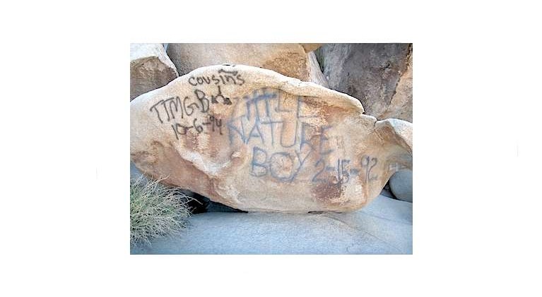 Graffiti closes parts of Joshua Tree