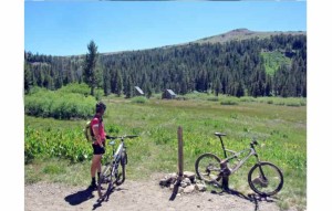 The junction of the Tahoe Rim Trail and Pacific Crest Trail at Meiss Meadow. Photo/Ben Fish