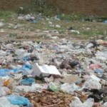 plastic bags