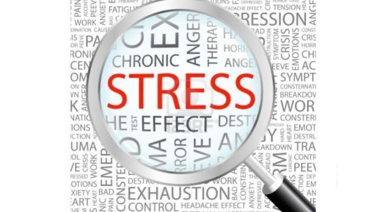 Stressed? Your body has the answer
