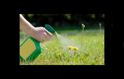 Weed control to close 2 El Dorado County trails