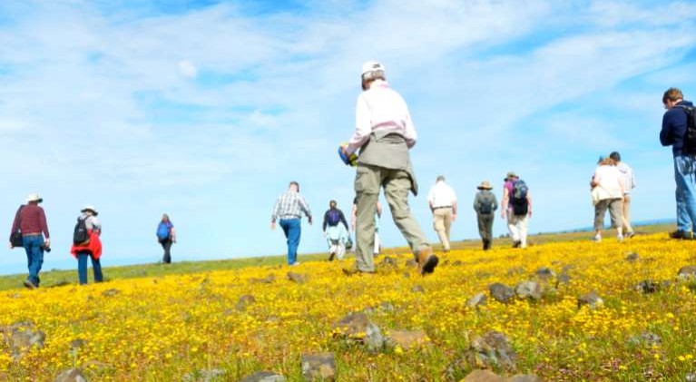 Vibrant colors decorate Northern California