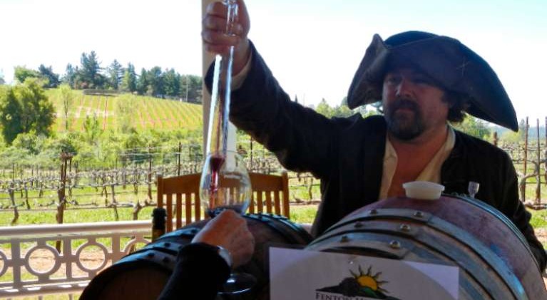 Tannins are the backbone of wine