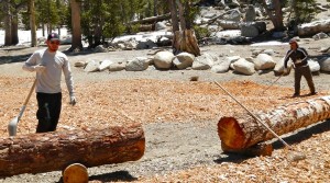 Crews are getting the Adventure Peak area ready for the summer season.