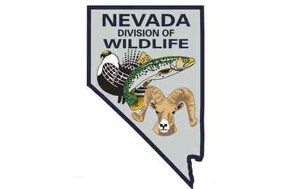 Reward offered to catch Nev. lake invasive fish dumper