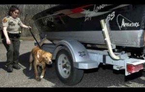  Lt. Julie Siems brought her K-9, Brady, to detect zebra mussels hidden in a boat at Fort Snelling State Park Tuesday. Brady found them in about a minute. Photo: Joel Koyama, Star Tribune 