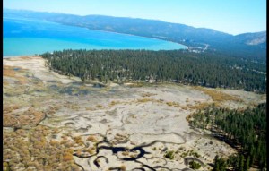 The Upper Truckee Marsh on April 22 is drier than normal. Photo/Kathryn reed