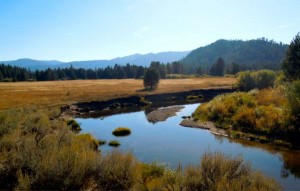 Restoring this section of the Upper Truckee River will begin in mid-June. Photo/LTN file