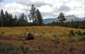A lawsuit involving Washoe Meadows State Park is not preventing environmental upgrades taking place this summer. Photo/LTN file