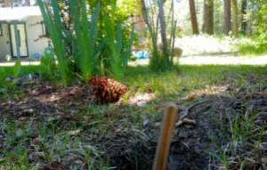 CTC has literally staked a claim to what homeowners thought was their property for the last 10 years. Photo/LTN