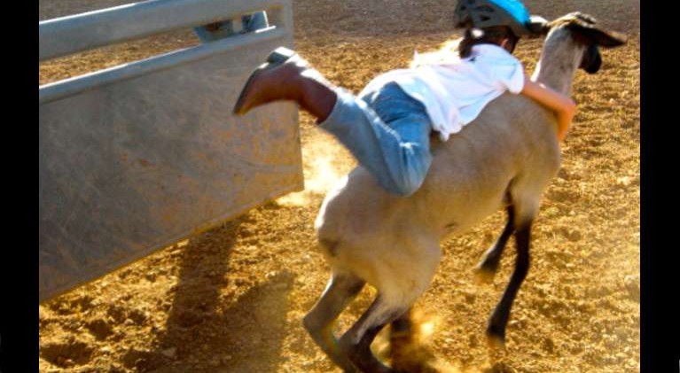El Dorado County Fair retains ag roots as entertainment grows