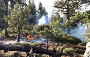 Spot fires are flaring up outside the main King Fire. Photo/Tahoe Douglas Fire