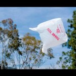 plastic bag