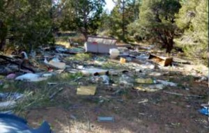 By the time volunteers were done, this area in the Pine Nuts was bare dirt. Photo/Provided