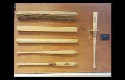 USFS working to create a stronger baseball bat