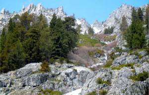 Eagle Falls in Desolation Wilderness. Photo/LTN file