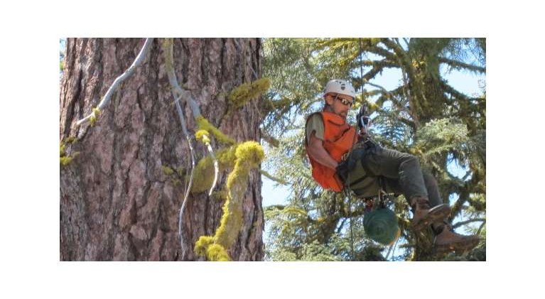 Nature’s East Coast classroom may benefit Tahoe