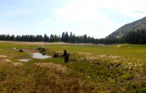Ponds are naturally forming where Incline Lake used to be. Photo/Matt Dickinson