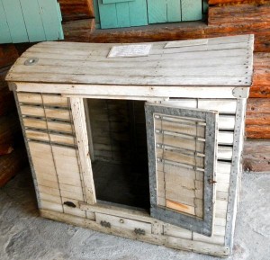 Pets in 1880 came via these carriers.