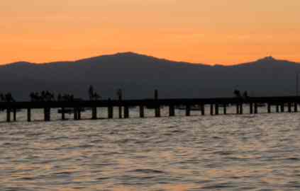 Calif. law to fight global warming gets strong support