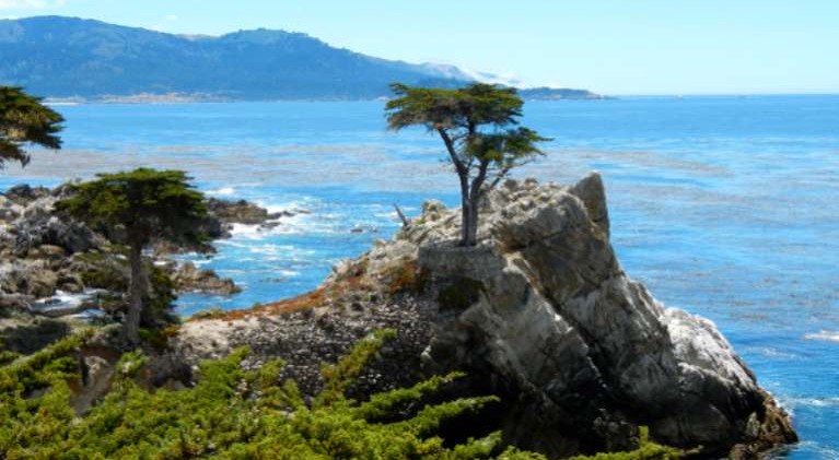 Carmel combines laid back with classy