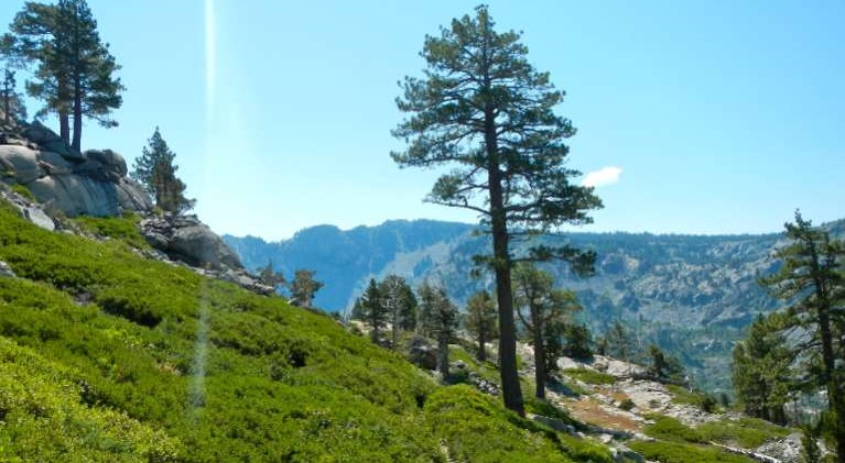 Tahoe wilderness anything but desolate