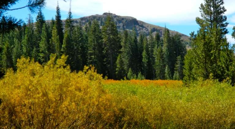 Hints of fall popping up on foliage in Tahoe
