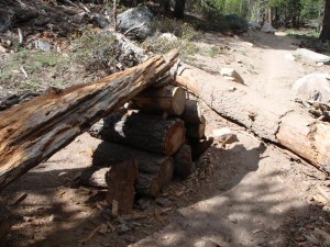 Illegal trails are not built to safety or other standards.