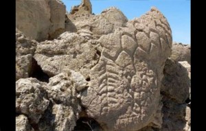  USGS, Larry Benson / AP Photo This May 2012 photo provided by the U.S. Geological Survey shows ancient carvings on limestone boulders in northern Nevada's high desert near Pyramid Lake. The carvings have been confirmed to be the oldest recorded petroglyphs in North America - at least 10,500 years old. The findings were published August 2013 in the Journal of Archaeological Science. This site was once the shoreline of the now dried up Winnemucca Lake. Read more here: http://www.sacbee.com/2013/08/14/5650997/nevada-petroglyphs-the-oldest.html?utm_source=dlvr.it&utm_medium=twitter#mi_rss=Latest%20News#storylink=cpy
