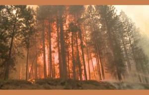 The Rim Fire near Yosemite is one of the largest in California's history. Photo/CBS Sacramento