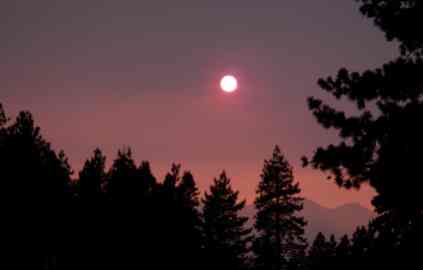 Scientists predicted impacts of climate change
