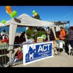 act