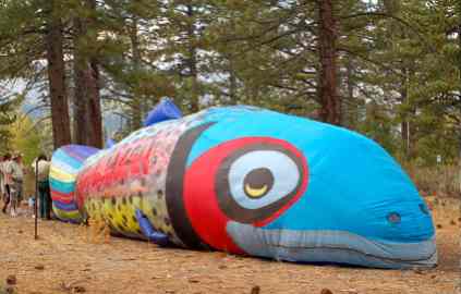 Festival expands beyond just Kokanee