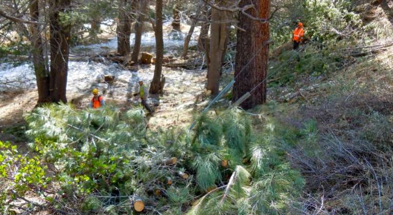 Debt remains from Nev. Fire Safe Council